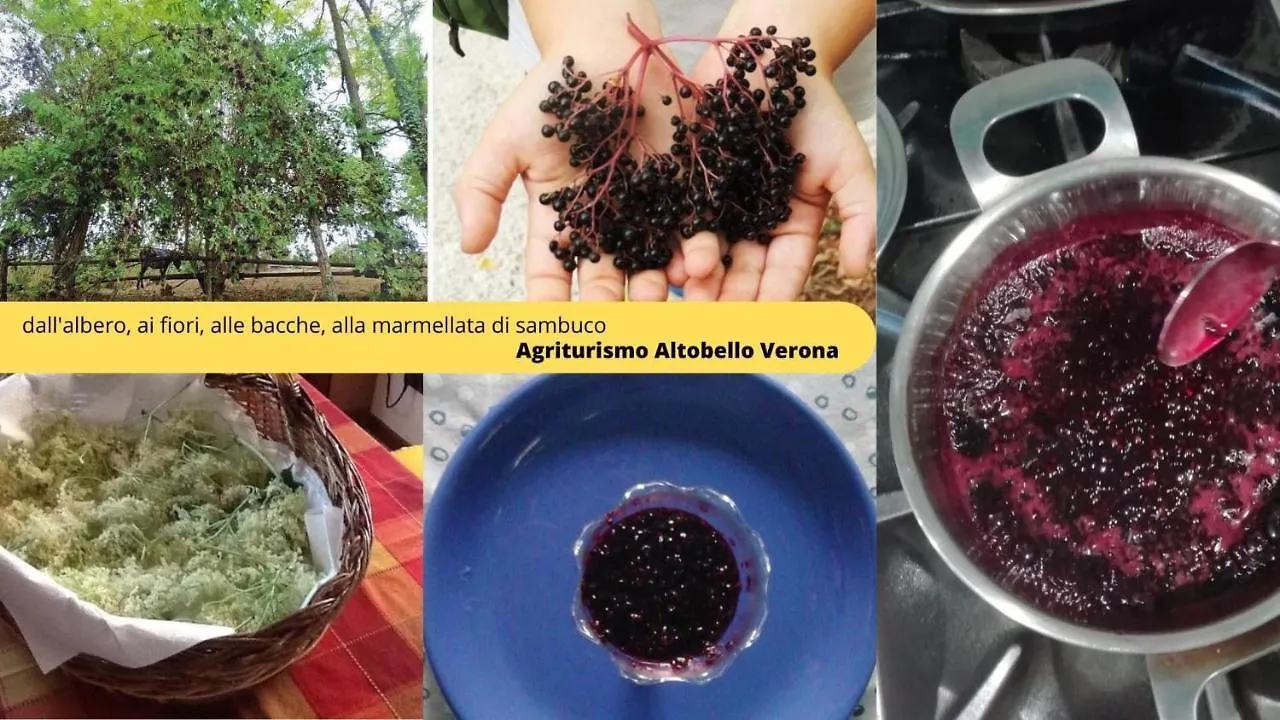 Agriturismo Altobello Verona 0*,