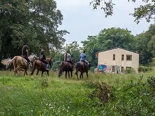 Farm stay Agriturismo Altobello Verona Italy