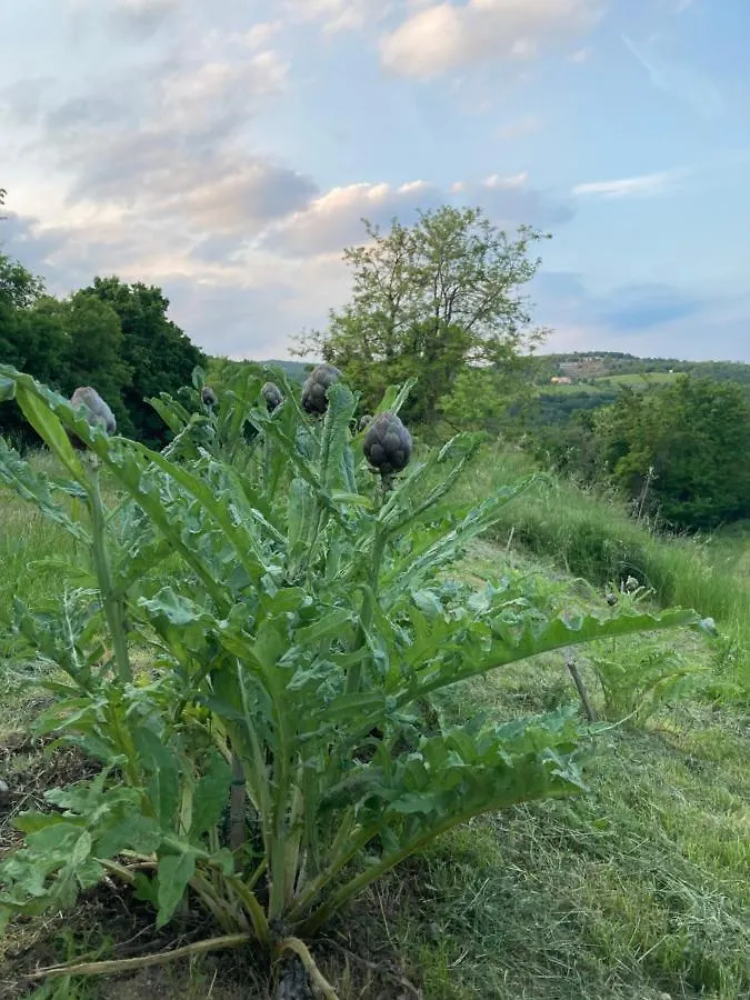 Agriturismo Altobello فيرونا 0*,